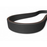 O BELT1